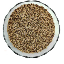 Ajwain Pachak 500 Gm - Digestive Aid with Chatpata Taste