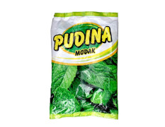 Pudina Modak - Cooling Churan Tablets for Stomach Relief