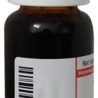 Dr Willmar Schwabe Germany Aletris Farinosa Mother Tincture Q 20 ML - Joint and Muscle Pain Relief