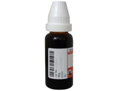 Dr Willmar Schwabe Germany Aletris Farinosa Mother Tincture Q 20 ML - Joint and Muscle Pain Relief
