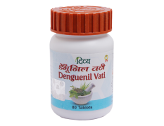 Divya Denguenil Vati 80 Tabs 67 g