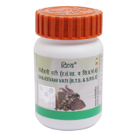 Divya Sanjeevani Vati 160 N 40 g