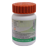 Divya Sanjeevani Vati 160 N 40 g