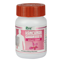 Divya Kanchnar Ghanvati 60 N 35 g