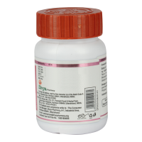 Divya Kanchnar Ghanvati 60 N 35 g