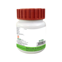 Divya Udramrit Vati 20 g - Natural Herbal Supplement