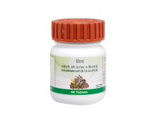 Divya Sanjeevani Vati 20 g