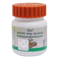 Divya Punarnavadi Mandoor 20 g