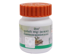 Divya Punarnavadi Mandoor 20 g