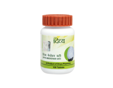 Divya Medohar Vati 50 g