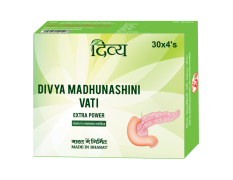 Divya Madhunashini Vati Extra Power 60 g