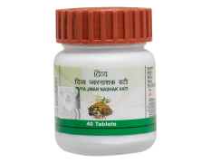 Divya Jwarnashak Vati 20 g