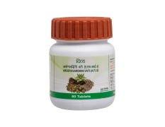 Divya Arogyavardhini Vati 20 g