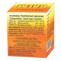 Patanjali Balm 25 g - Natural Relief for Everyday Discomfort Patanjali Balm 25 g - Natural Relief for Everyday Discomfort