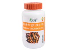 Divya Dalchini Churna 100 g