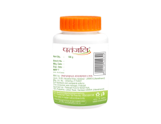 Divya Youvan Churna 100 g - Herbal Vitality Support