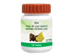 Panchamrit Lauh Guggul 120 Tabs 40 g - Traditional Ayurvedic Supplement