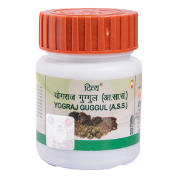 Divya Yograj Guggul 20 g