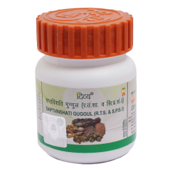 Divya Saptvinshati Guggul 20 g