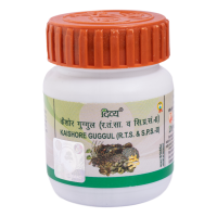 Divya Kaishore Guggul 40 g