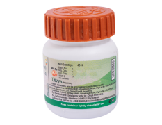 Divya Kaishore Guggul 40 g