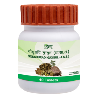 Divya Gokshuradi Guggul 40 Tablets 
