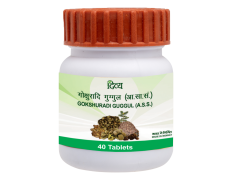 Divya Gokshuradi Guggul 40 Tablets 