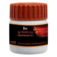 Divya Shuddh Shilajeet Sat 20 g