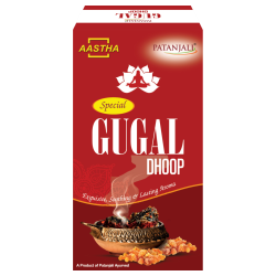 Aastha Special Gugal Dhoop 10 N 57 g