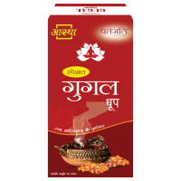 Aastha Special Gugal Dhoop 10 N 57 g