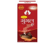 Aastha Special Gugal Dhoop 10 N 57 g