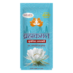 Aastha Agarbatti Brahmkamal 120 g