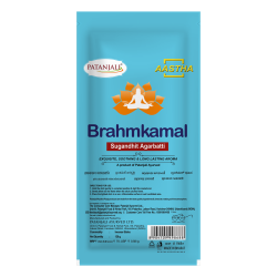 Aastha Agarbatti Brahmkamal 120 g