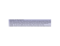 Divya Medheshti Hawan Samagri 400 g