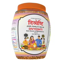 Divya Divyeshti Hawan Samagri 250 g