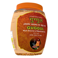 Divya Guggul Havan Dhoop Jar 250 g