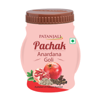 Patanjali Pachak Anardana 100 g - Tangy Digestive Snack