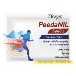 Peedanil Pain Relief Patch 21 g