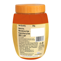 Patanjali Mango Pickle 500 g