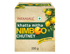 Patanjali Khatta Mitha Nimboo Chutney 250 g