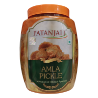Patanjali Amla Pickle 500 g