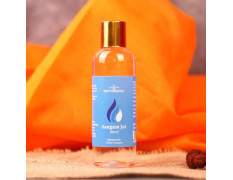 MahaKumbh Sangam Gangajal by ServDharm 100ML