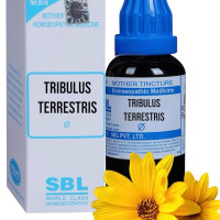 SBL Tribulus Terrestris Mother Tincture Q 30ml SBL Tribulus Terrestris Mother Tincture Q 30ml