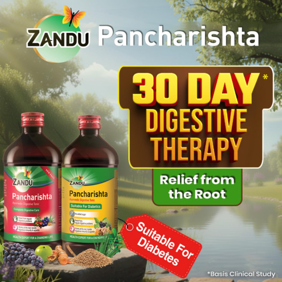 Zandu Pancharishta Ayurvedic Digestive Tonic 650ML