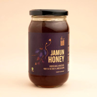 Isha Life Jamun Honey 500gm Pure Monofloral Raw Honey from Jamun Blossoms Natural Forest Honey of Bihar & Jharkhand