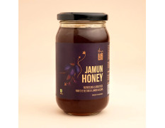 Isha Life Jamun Honey 500gm Pure Monofloral Raw Honey from Jamun Blossoms Natural Forest Honey of Bihar & Jharkhand