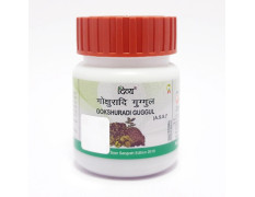 Patanjali Divya Gokshuradi Guggul 80 Tablets | Ayurvedic Kidney & Urinary Health Support | Buy from Bazaar5.com One Stop Indian Shop