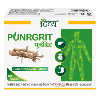 Divya Punrgrit Herbal Tablets (60 Tabs) - Natural Punarnava Root Extract for Inflammation & Urinary Support | Authentic Indian Ayurveda