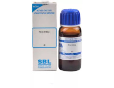 SBL Ficus Indica Mother Tincture Q 30ml