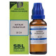 SBL Natrum Muriaticum Dilution 30 CH 30 ml Homeopathic Remedy for Anaemia, Headache, Digestive and Menstrual Disorders